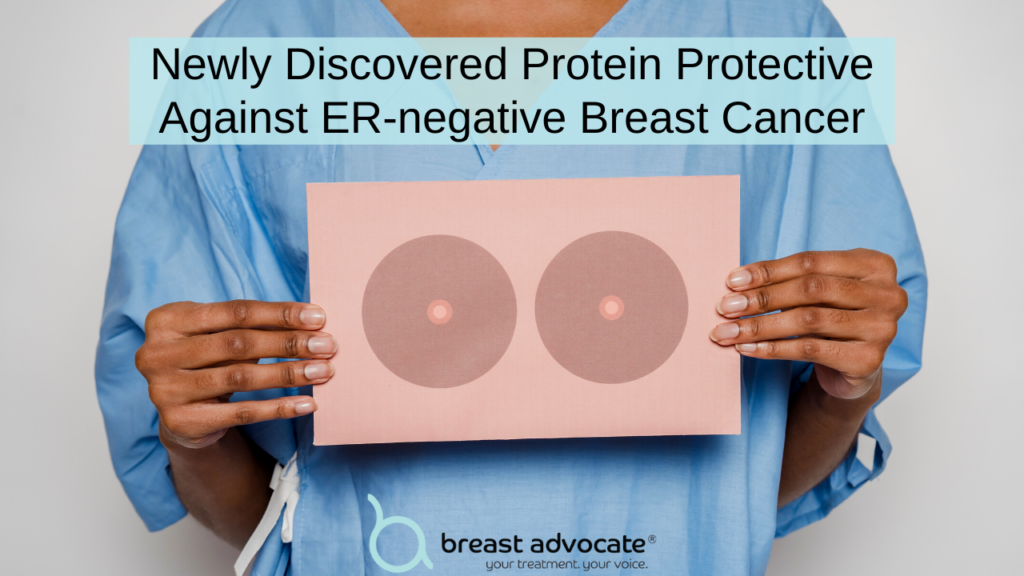 New Protein Protects Against Breast Cancer Tumor Growth