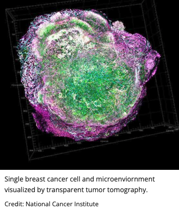 Single Cancer Cell